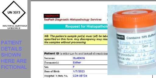 Academic Diagnostic Histopathology