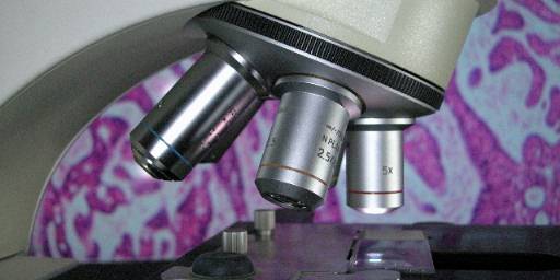 Academic Diagnostic Histopathology